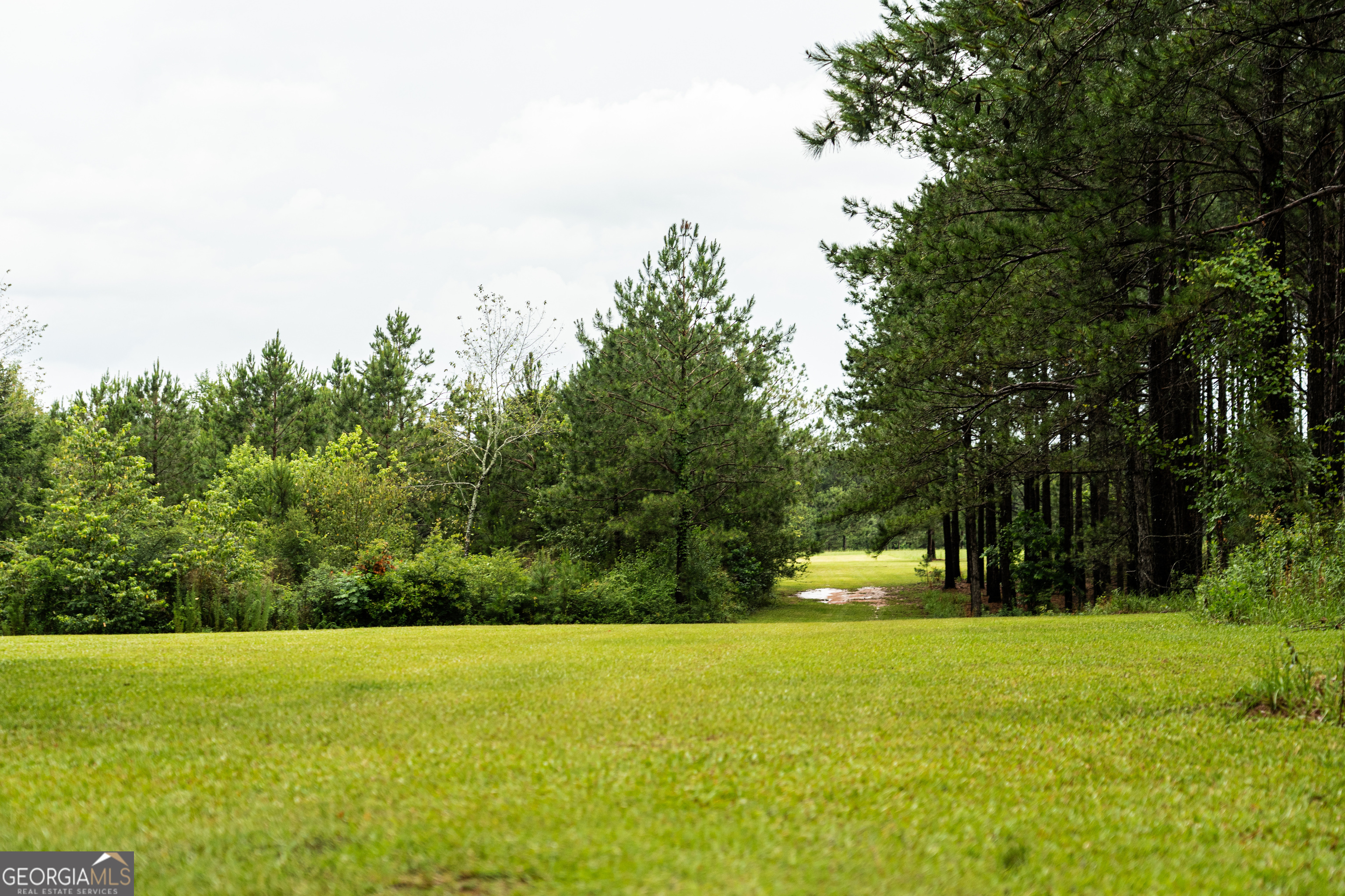 990 Highway 49 Americus, GA 31719 - Photo 20 of 121