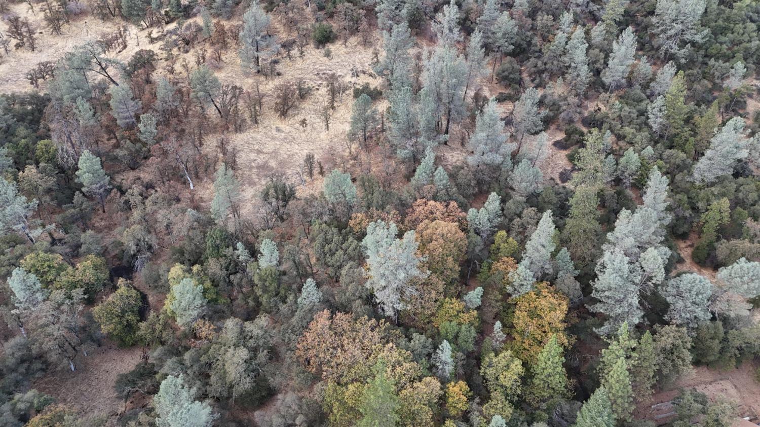 17022 Brewer Road Grass Valley, CA 95949 - Photo 7 of 9