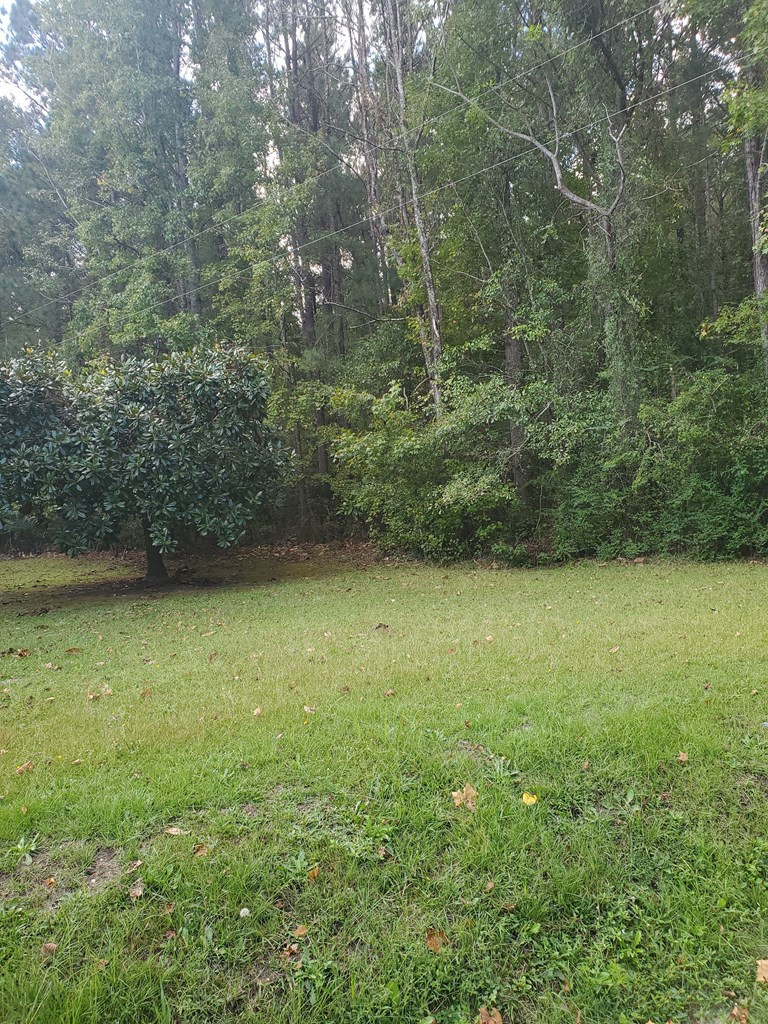 2210 West Brewington Road Sumter, SC 29153 - Photo 3 of 5 Gallery Image 3