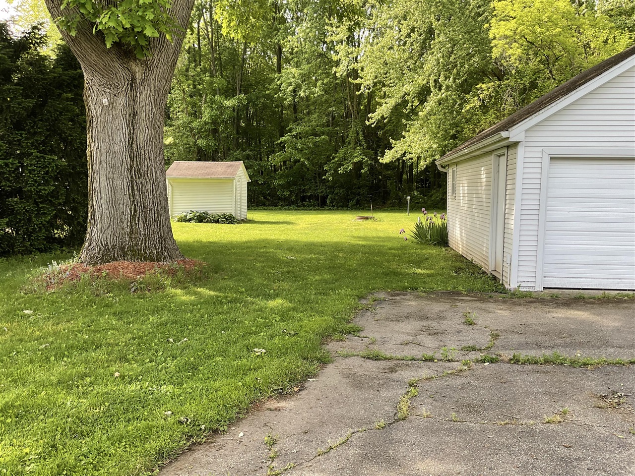8090 Talladay Road Whittaker, MI 48190 - Photo 4 of 16