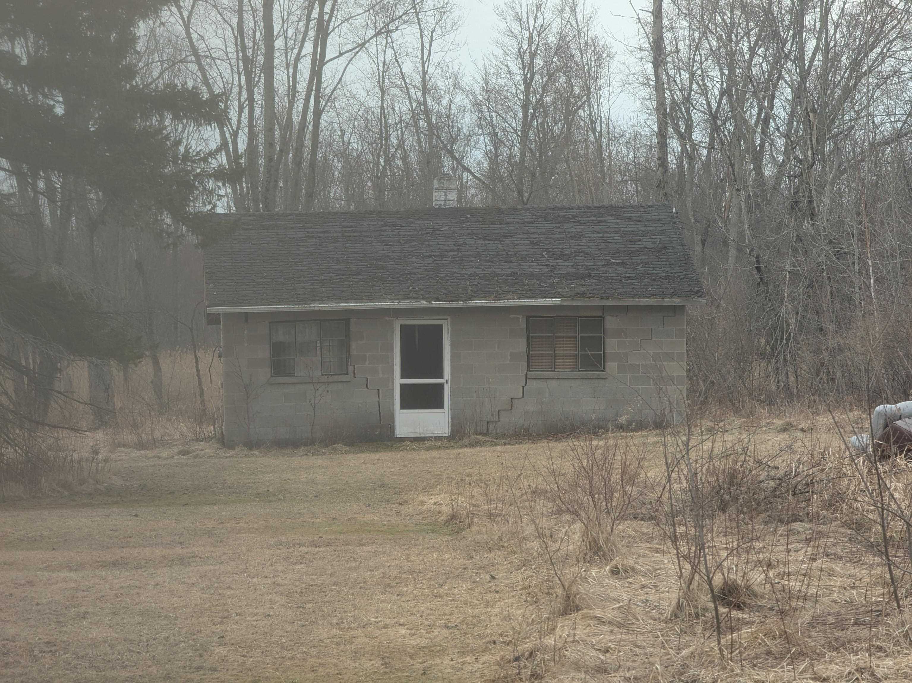4438 Reynolds Road Turner, MI 48765 - Photo 31 of 40