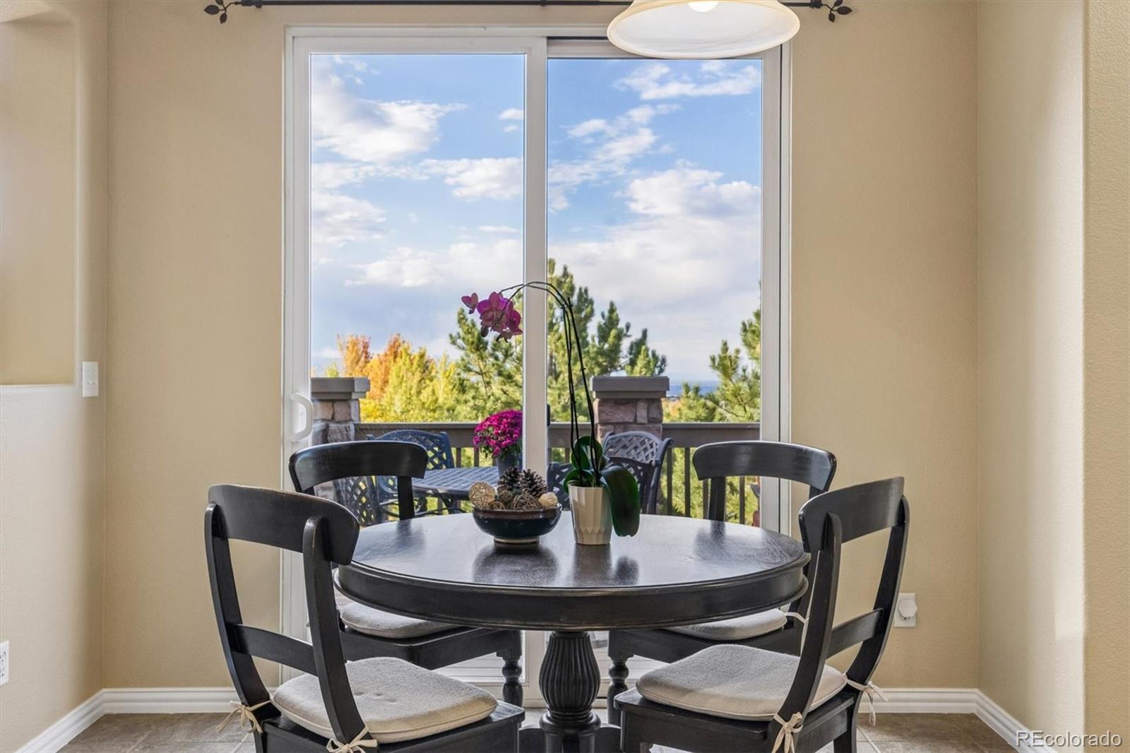10833 Fox Sedge Way Highlands Ranch, CO 80126 - Photo 16 of 50 Gallery Image 16