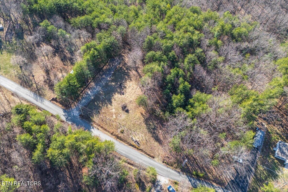 3766 Eagle Ridge Road Maryville, TN 37803 - Photo 7 of 12 11-Clearing A1