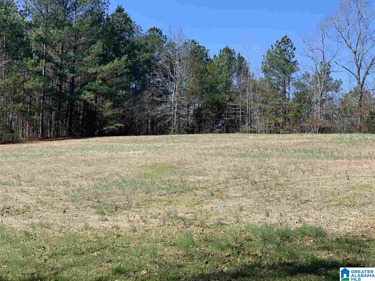 1099 Warrior Jasper Road Warrior, AL 35180 - Photo 3 of 16