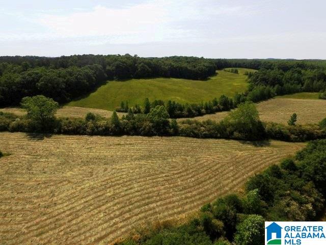 1093 High Pine Road Ashland, AL 36251 - Photo 5 of 36