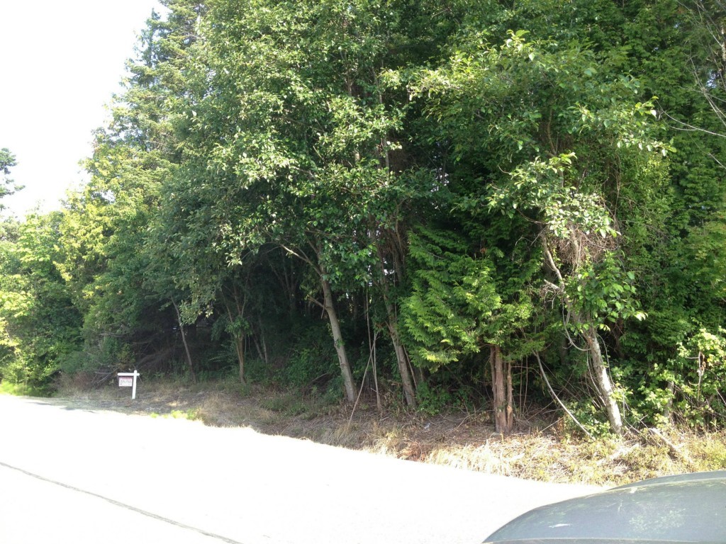 0 Salish Road Birch Bay, WA 98230 - Photo 2 of 15 Gallery Image 2