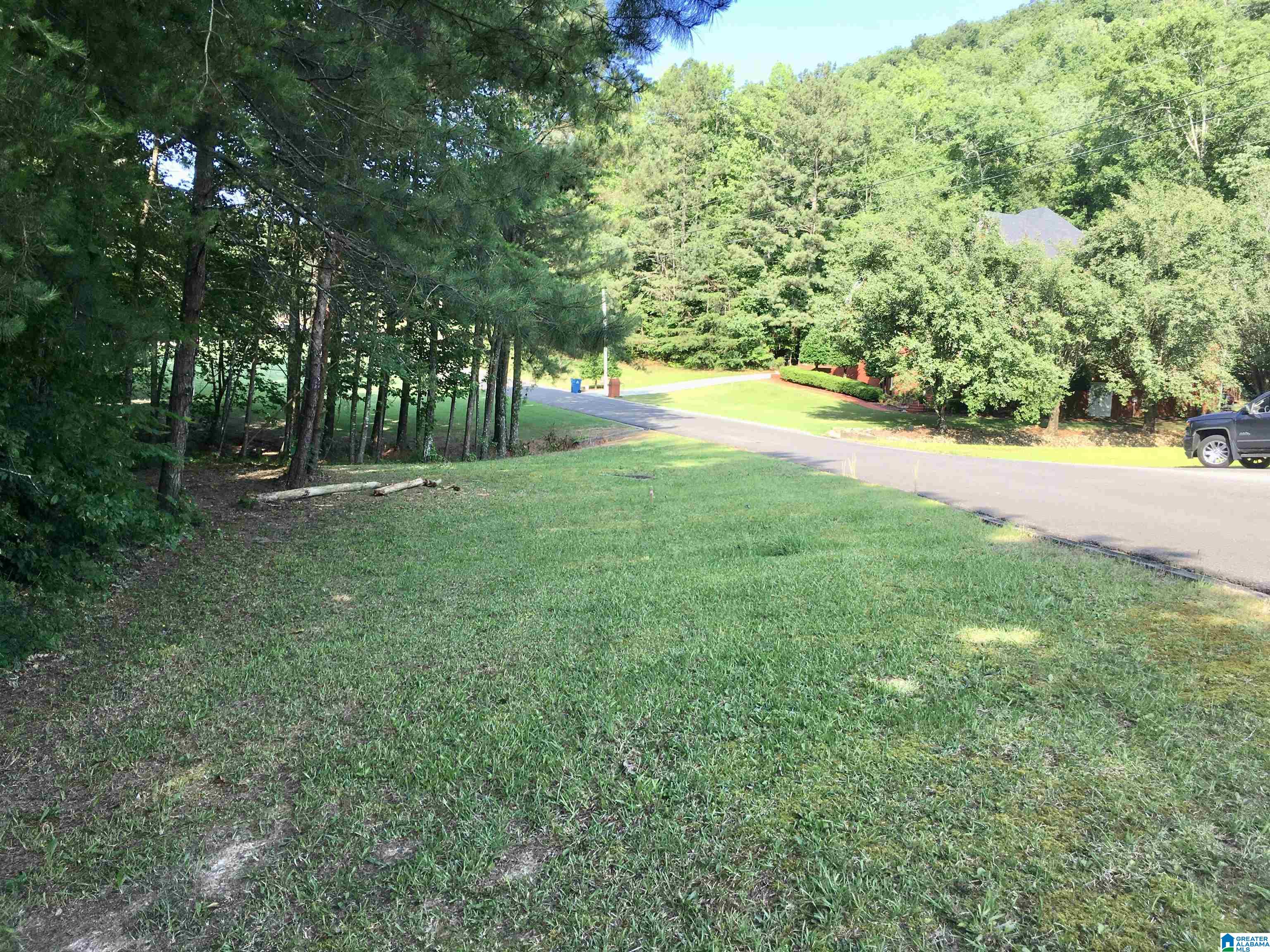 0 Quail Ridge Road, Unit 1 Oneonta, AL 35121 - Photo 22 of 29