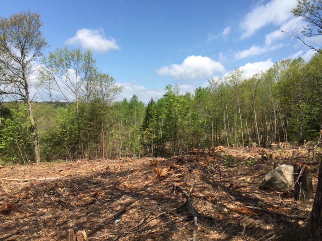 113 Gile Road Fayette, ME 04349 - Photo 3 of 5 Photo