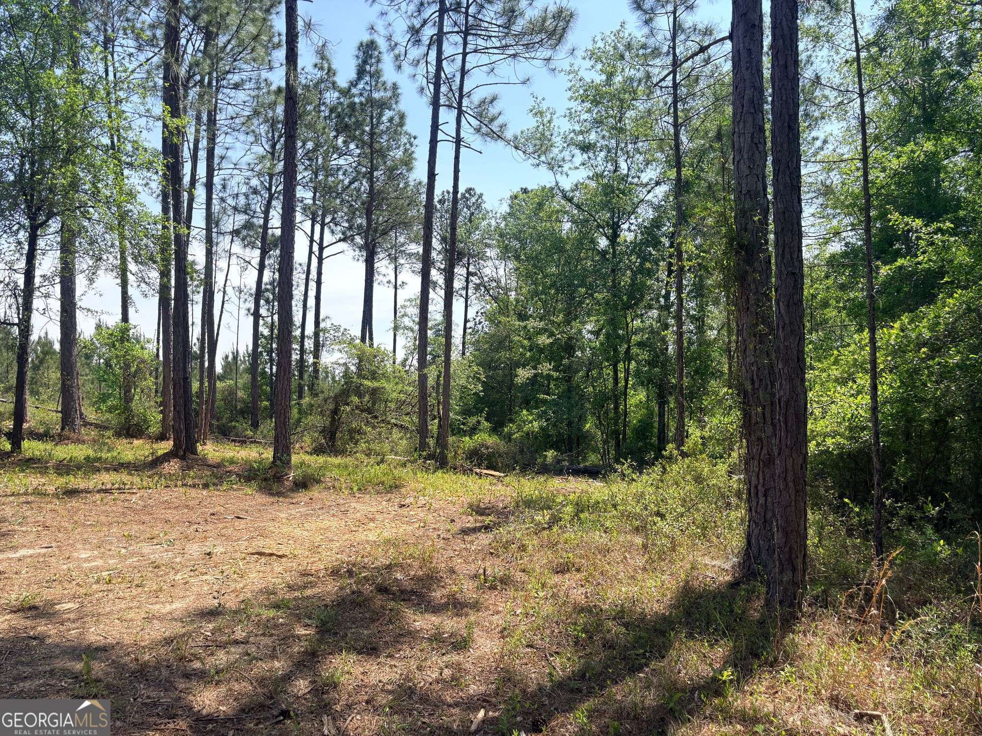 108 Tanglewood Road Soperton, GA 30457 - Photo 4 of 13