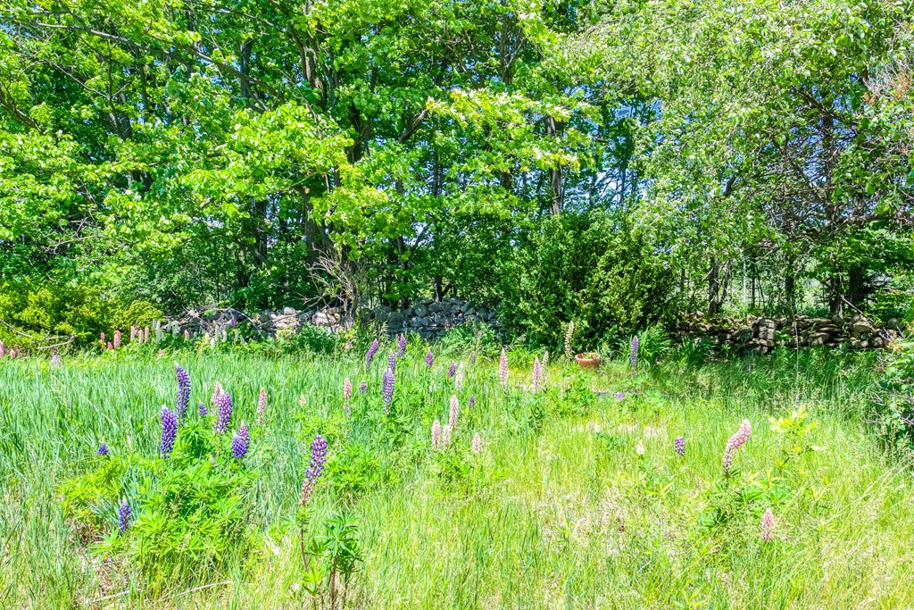 12200 Badger Road Ellison Bay, WI 54210 - Photo 50 of 54