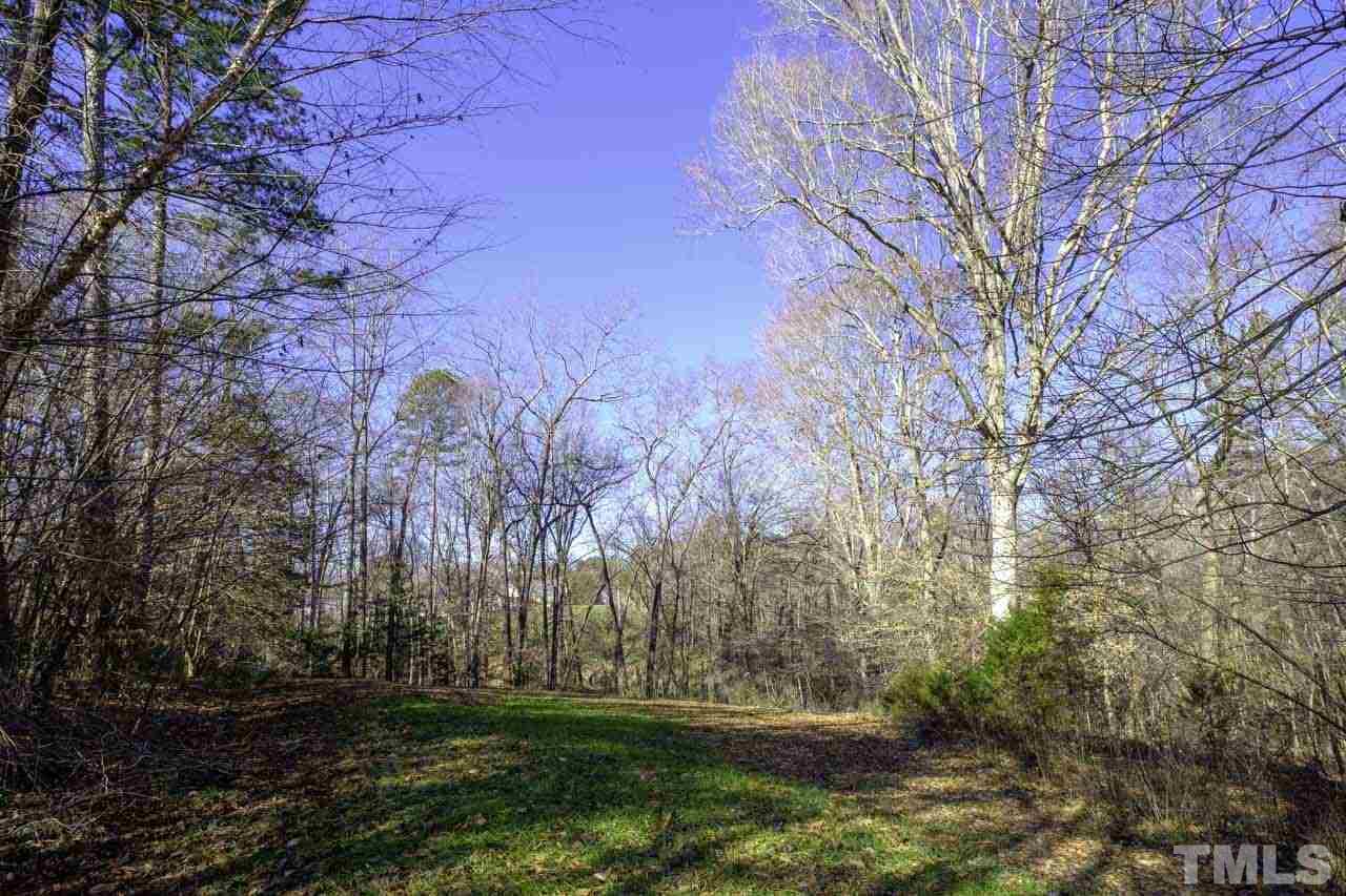 Lot 8 Fork Junction Road Timberlake, NC 27583 - Photo 1 of 30 a view of backyard with green space