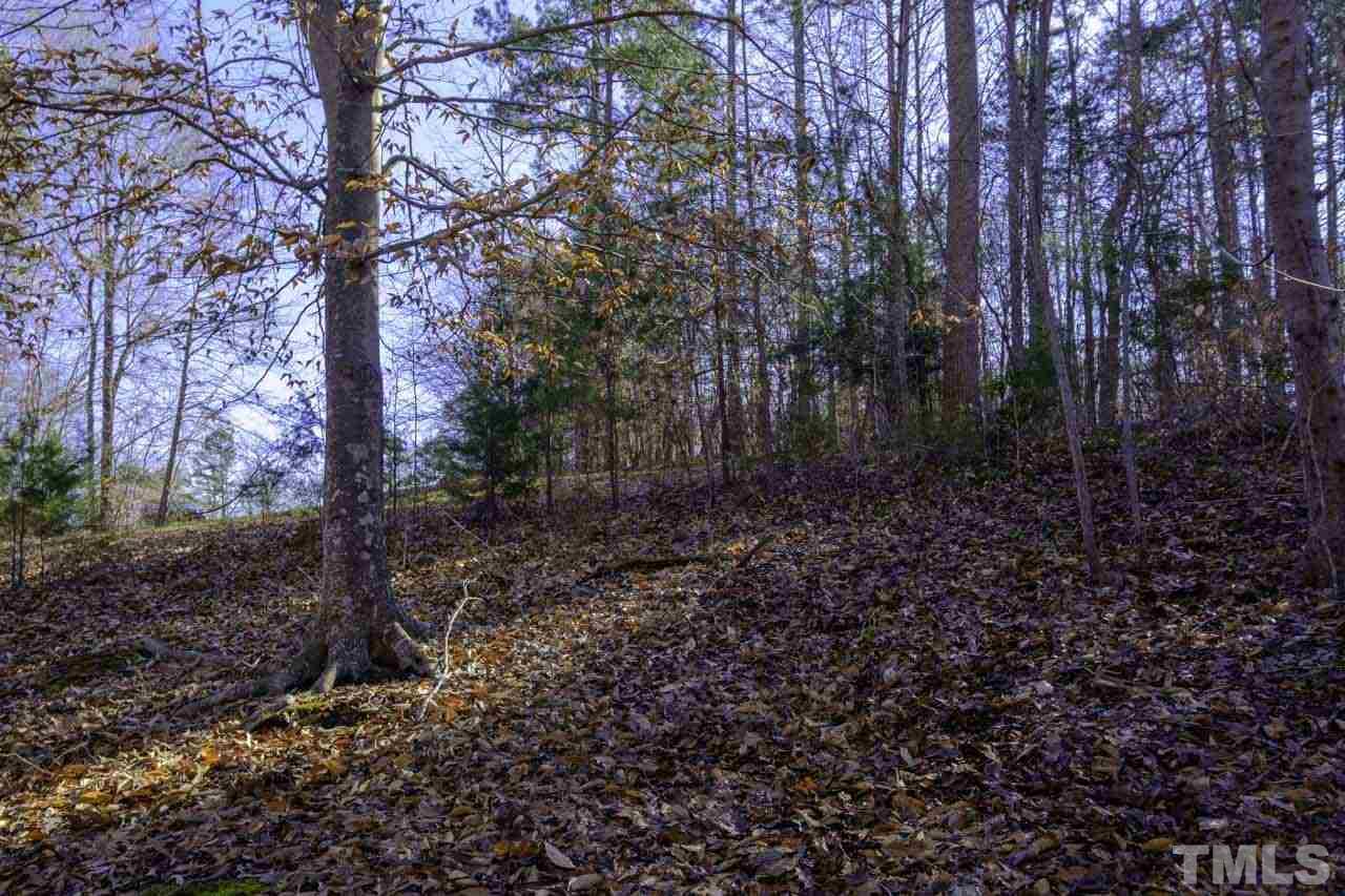 Lot 8 Fork Junction Road Timberlake, NC 27583 - Photo 11 of 30 a view of a forest