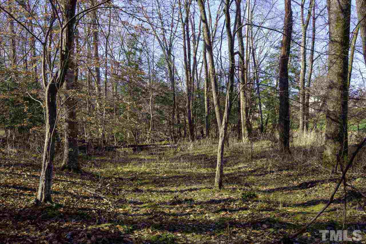 Lot 8 Fork Junction Road Timberlake, NC 27583 - Photo 13 of 30 a backyard of a house with lots of green space