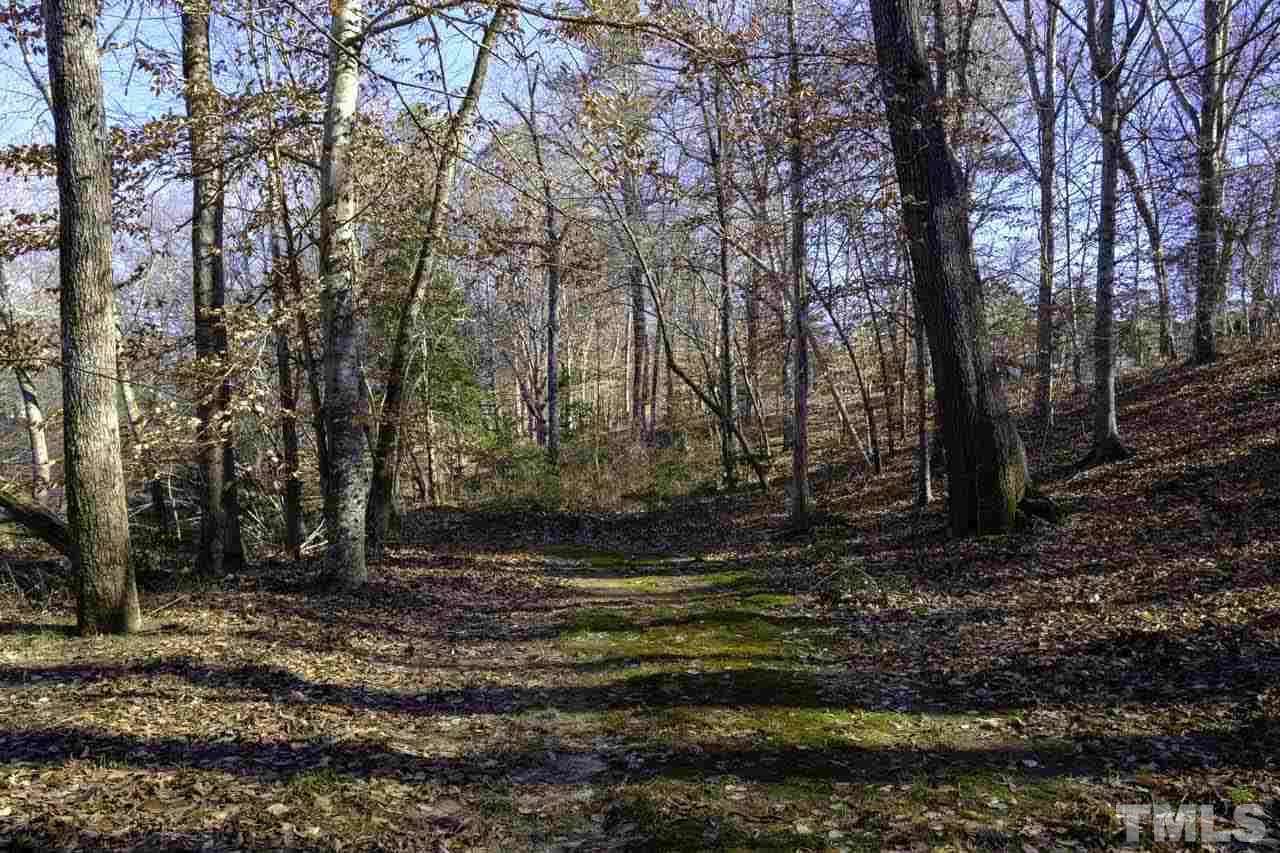 Lot 8 Fork Junction Road Timberlake, NC 27583 - Photo 14 of 30 a view of backyard with green space