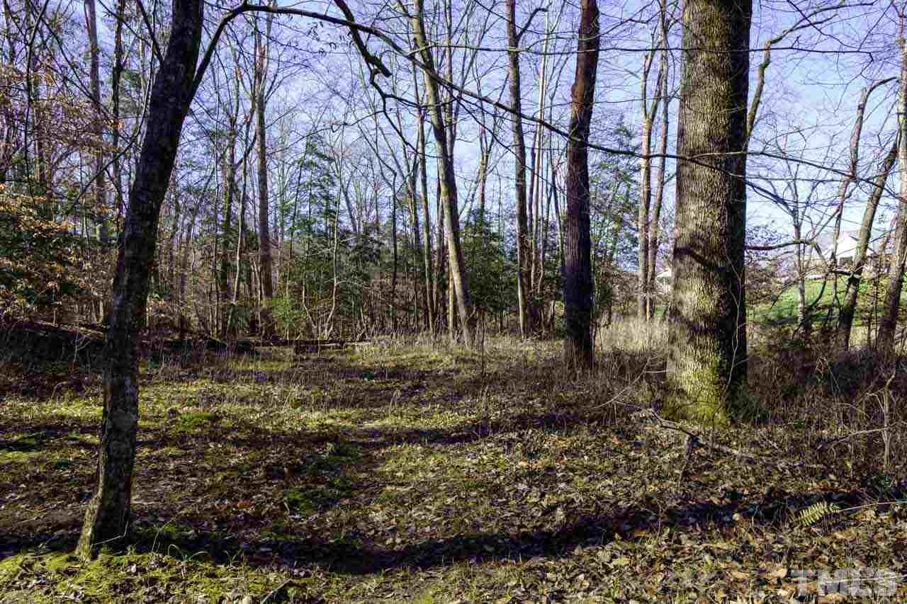 Lot 8 Fork Junction Road Timberlake, NC 27583 - Photo 21 of 30 a view of a yard with plants and trees