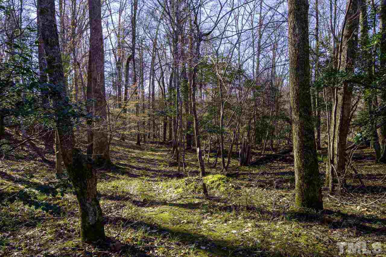 Lot 8 Fork Junction Road Timberlake, NC 27583 - Photo 22 of 30 a view of outdoor space