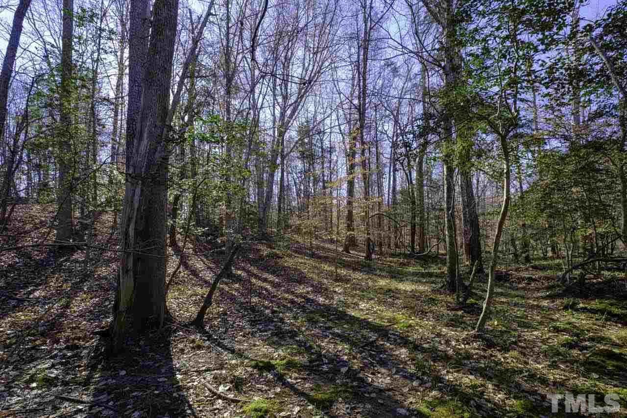 Lot 8 Fork Junction Road Timberlake, NC 27583 - Photo 23 of 30 a view of a forest filled with trees
