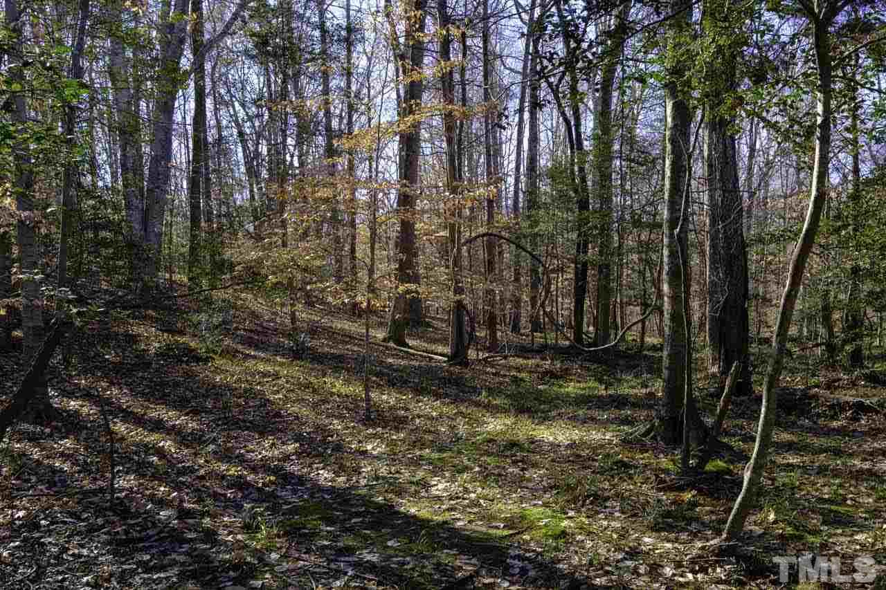 Lot 8 Fork Junction Road Timberlake, NC 27583 - Photo 24 of 30 a view of a yard with trees in the background