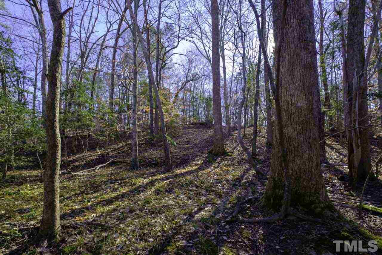 Lot 8 Fork Junction Road Timberlake, NC 27583 - Photo 25 of 30 a view of a forest filled with trees