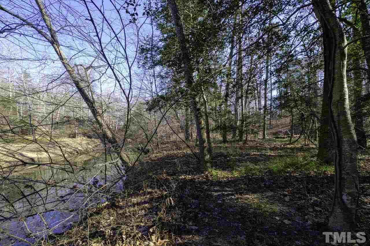 Lot 8 Fork Junction Road Timberlake, NC 27583 - Photo 28 of 30 a view of a forest with lots of trees