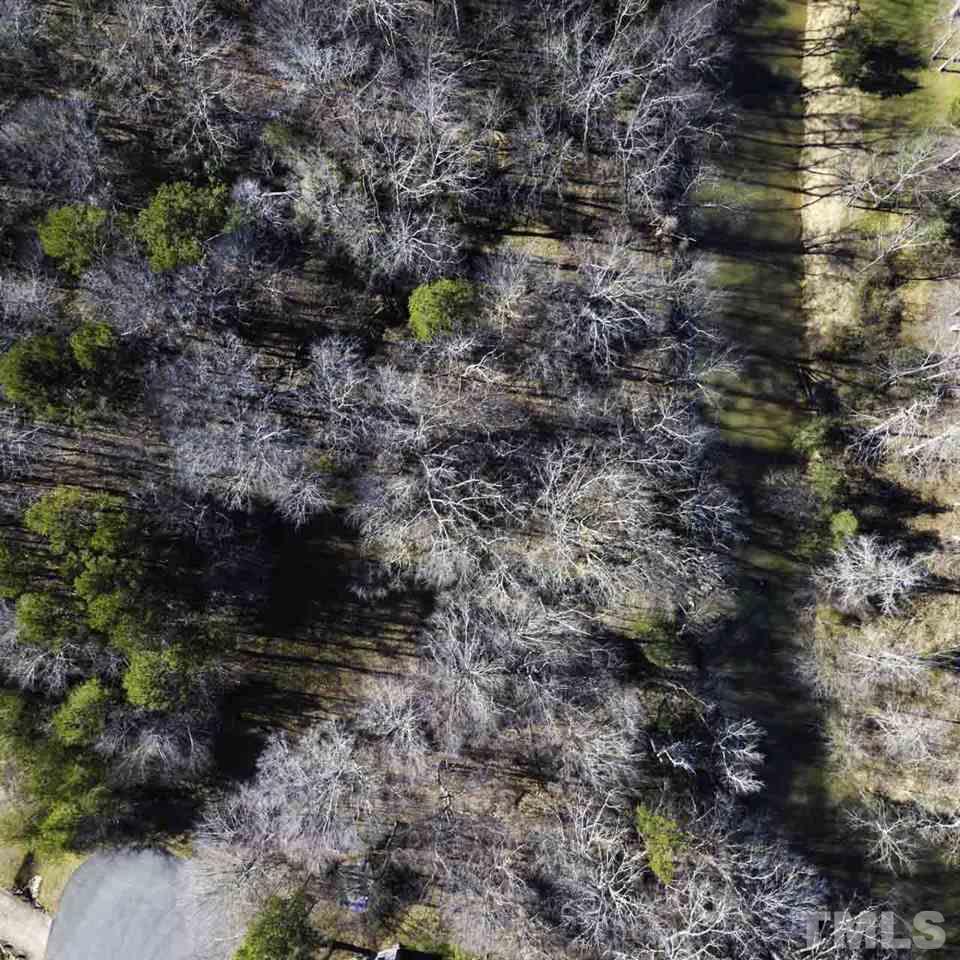 Lot 8 Fork Junction Road Timberlake, NC 27583 - Photo 29 of 30 a view of a forest with a trees
