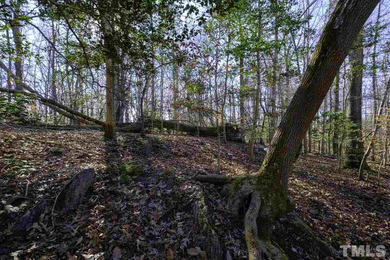 Lot 8 Fork Junction Road Timberlake, NC 27583 - Photo 4 of 30 a view of an outdoor space