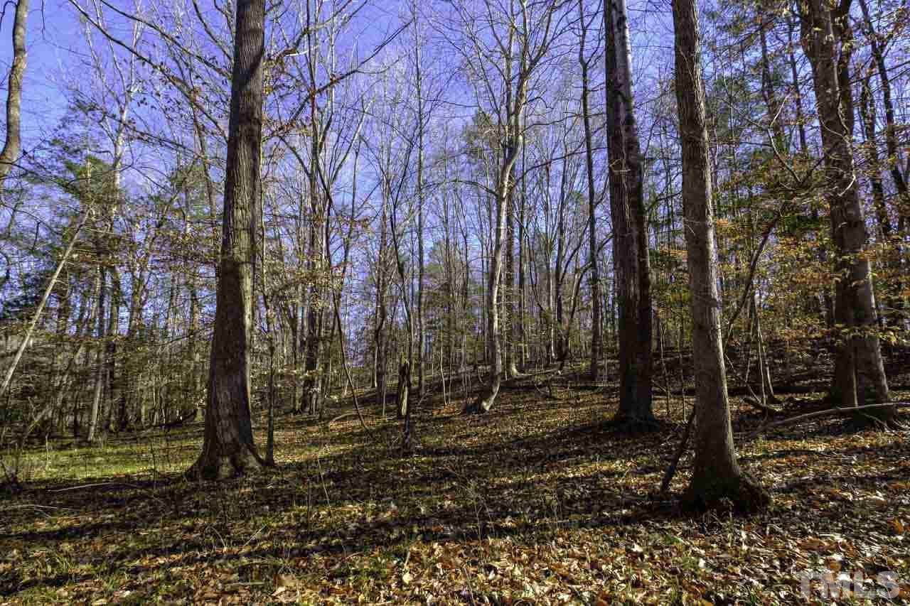 Lot 8 Fork Junction Road Timberlake, NC 27583 - Photo 5 of 30 a view of a backyard of the house
