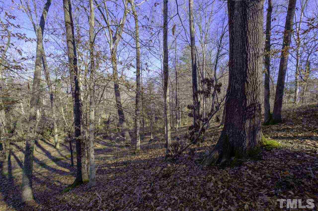 Lot 8 Fork Junction Road Timberlake, NC 27583 - Photo 10 of 30 a view of a forest with trees