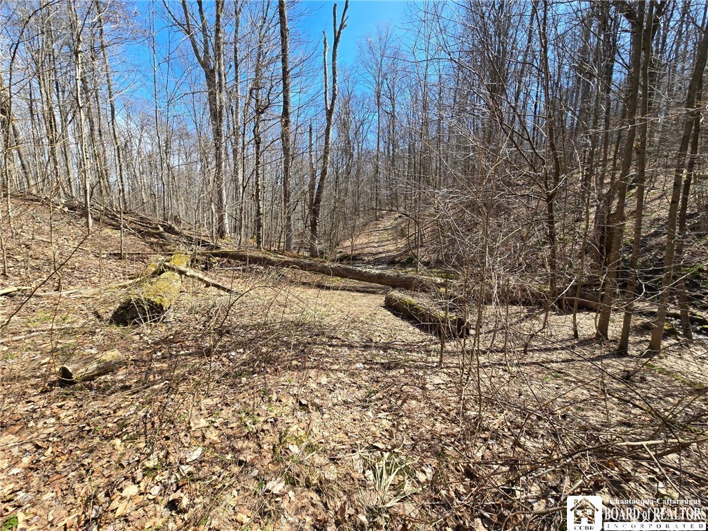 0 West Cobb Road Falconer, NY 14733 - Photo 38 of 49