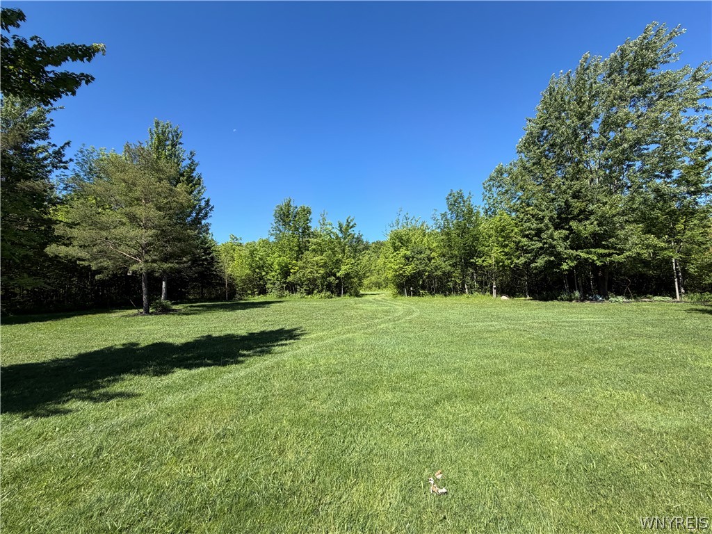 285 Cook Road East Aurora, NY 14052 - Photo 38 of 47