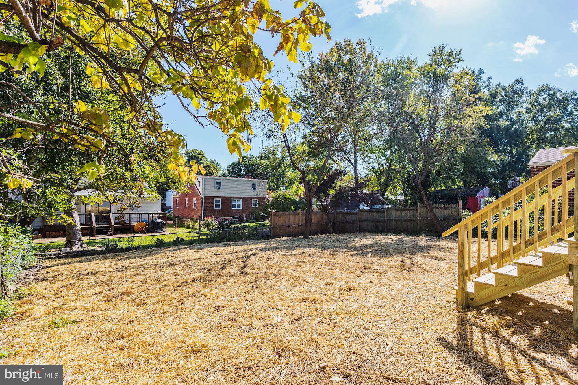 2117 Chapman Road Hyattsville, MD 20783 - Photo 26 of 26 Rear Yard