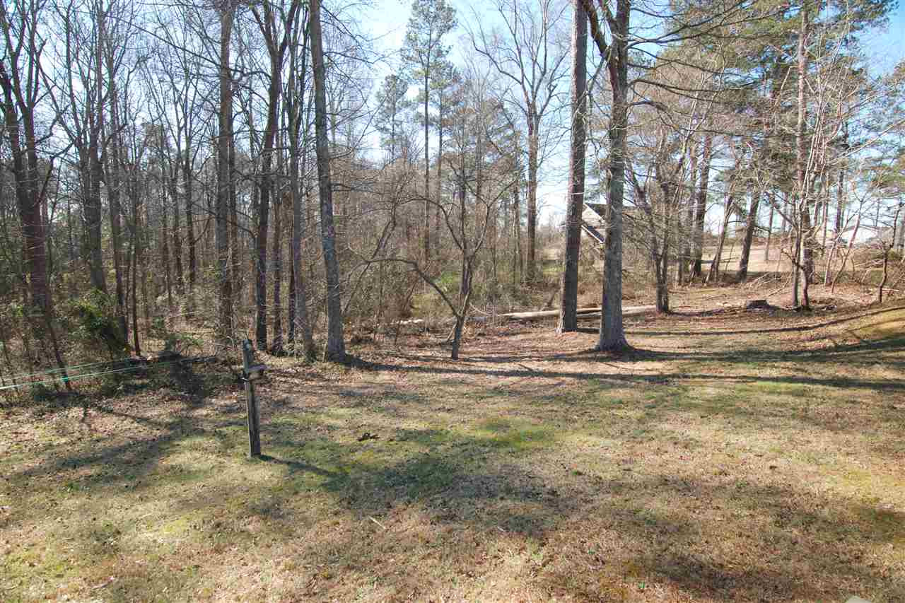 452 Covered Bridge Road Clayton, NC 27520 - Photo 24 of 25 Backyard