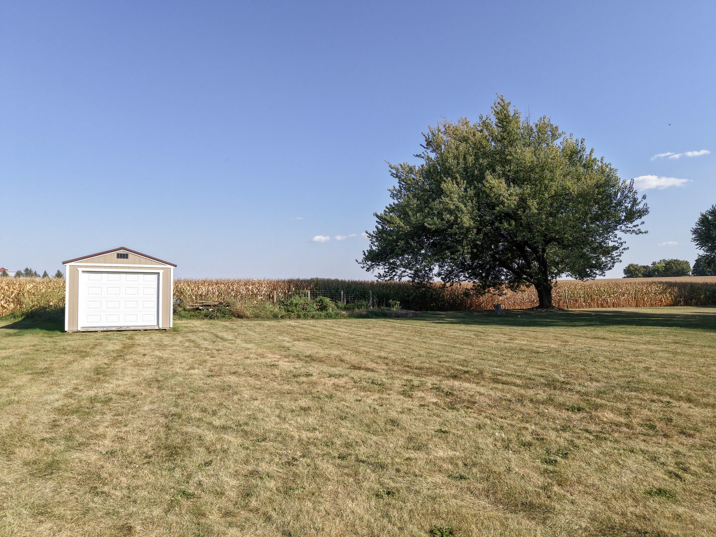 21182 Virginia Road DeKalb, IL 60115 - Photo 40 of 44 a view of an outdoor space and a yard