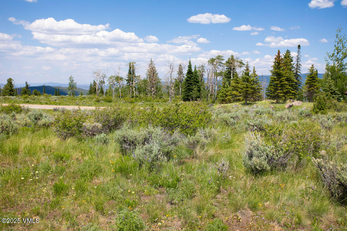 1334 Gore Trail Edwards, CO 81632 - Photo 12 of 26 a view of a city