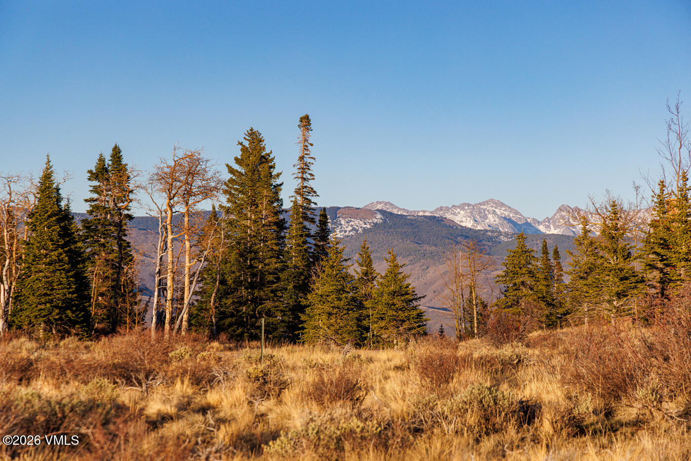 1334 Gore Trail Edwards, CO 81632 - Photo 21 of 26 a view of a house with a mountain in the background