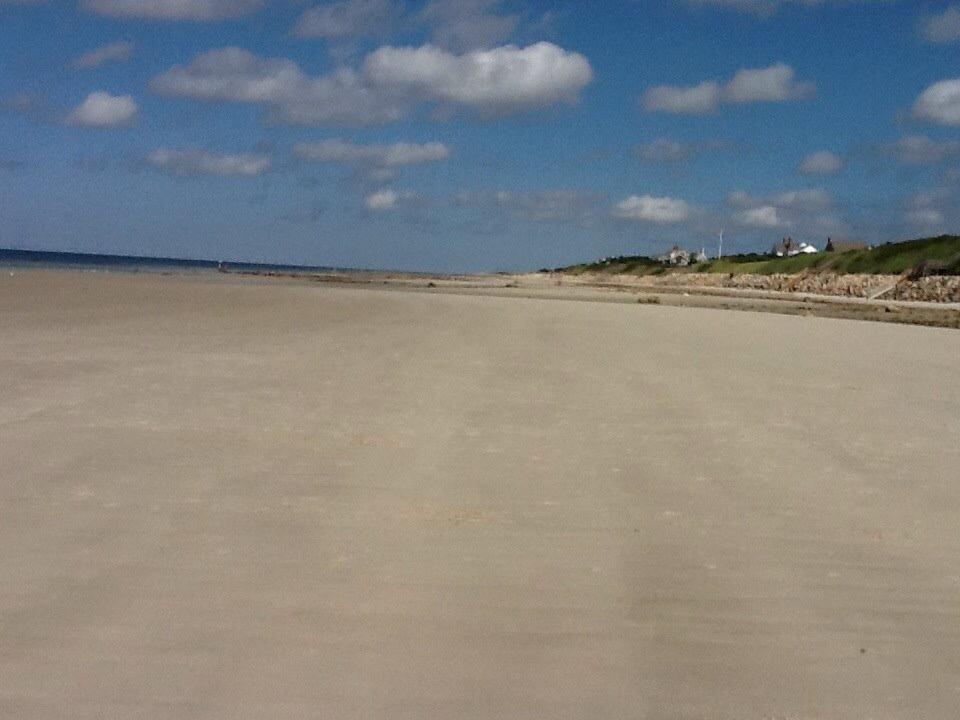 29 Pilgrim Road Dennis, MA 02638 - Photo 52 of 54