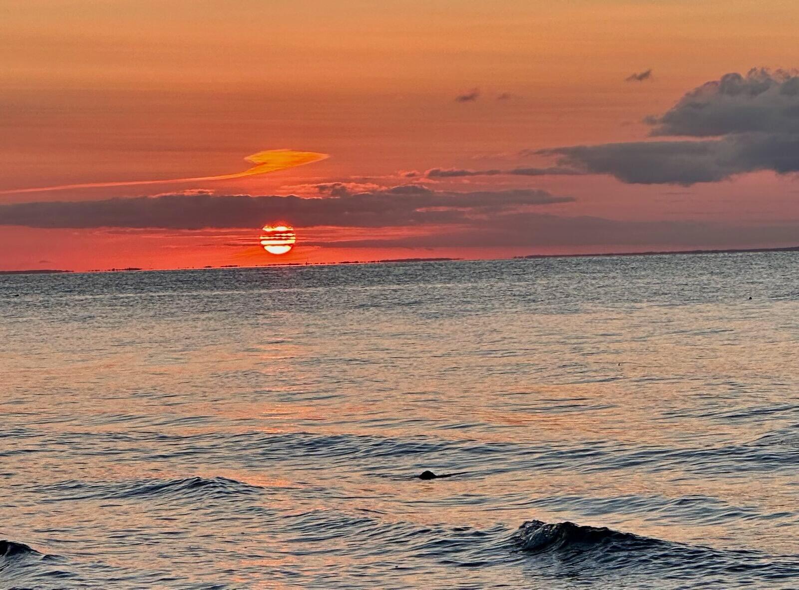 29 Pilgrim Road Dennis, MA 02638 - Photo 53 of 54 1000012841