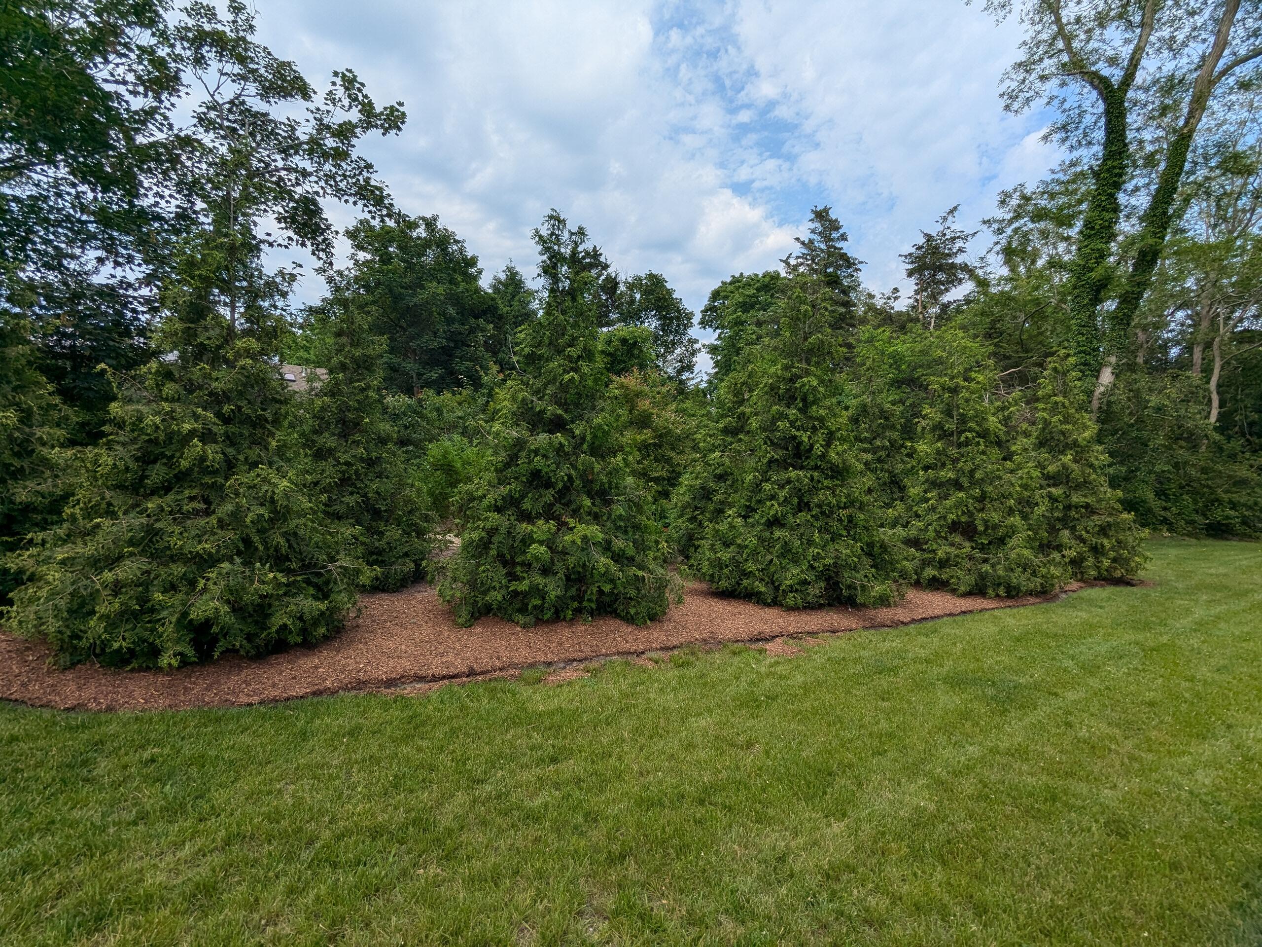 29 Pilgrim Road Dennis, MA 02638 - Photo 8 of 54 a view of an outdoor space and a yard