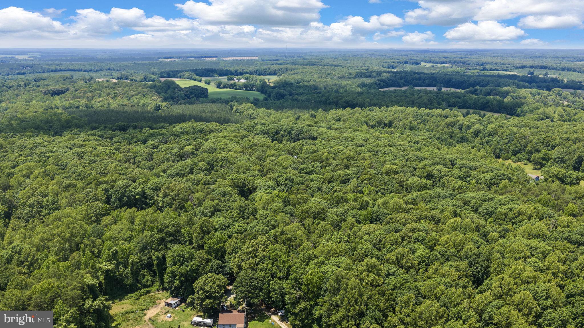 1271 Apple Grove Road Mineral, VA 23117 - Photo 80 of 91