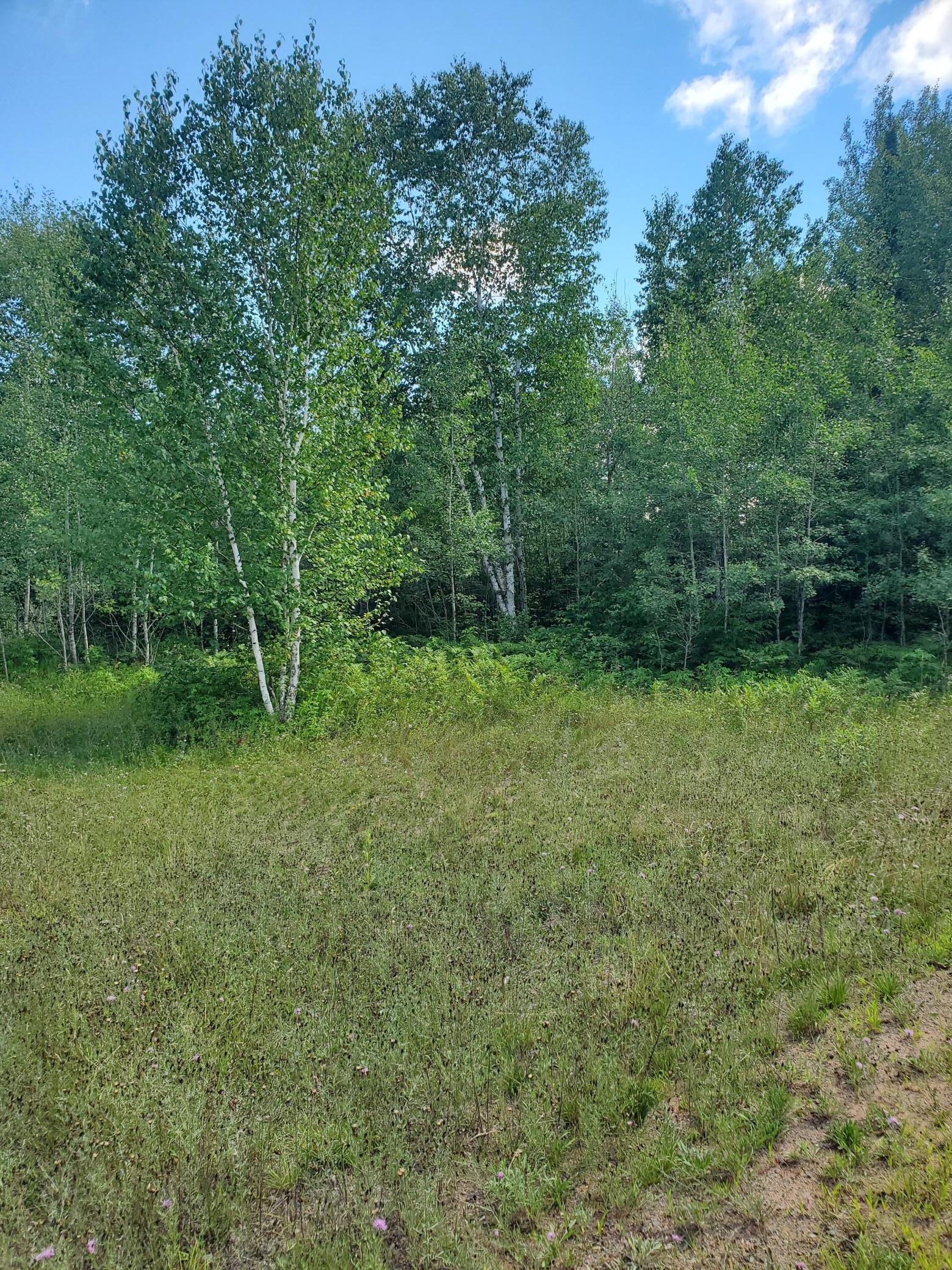 80379 Tamarack Ranch Road Sandstone, MN 55072 - Photo 15 of 22 Gallery Image 15