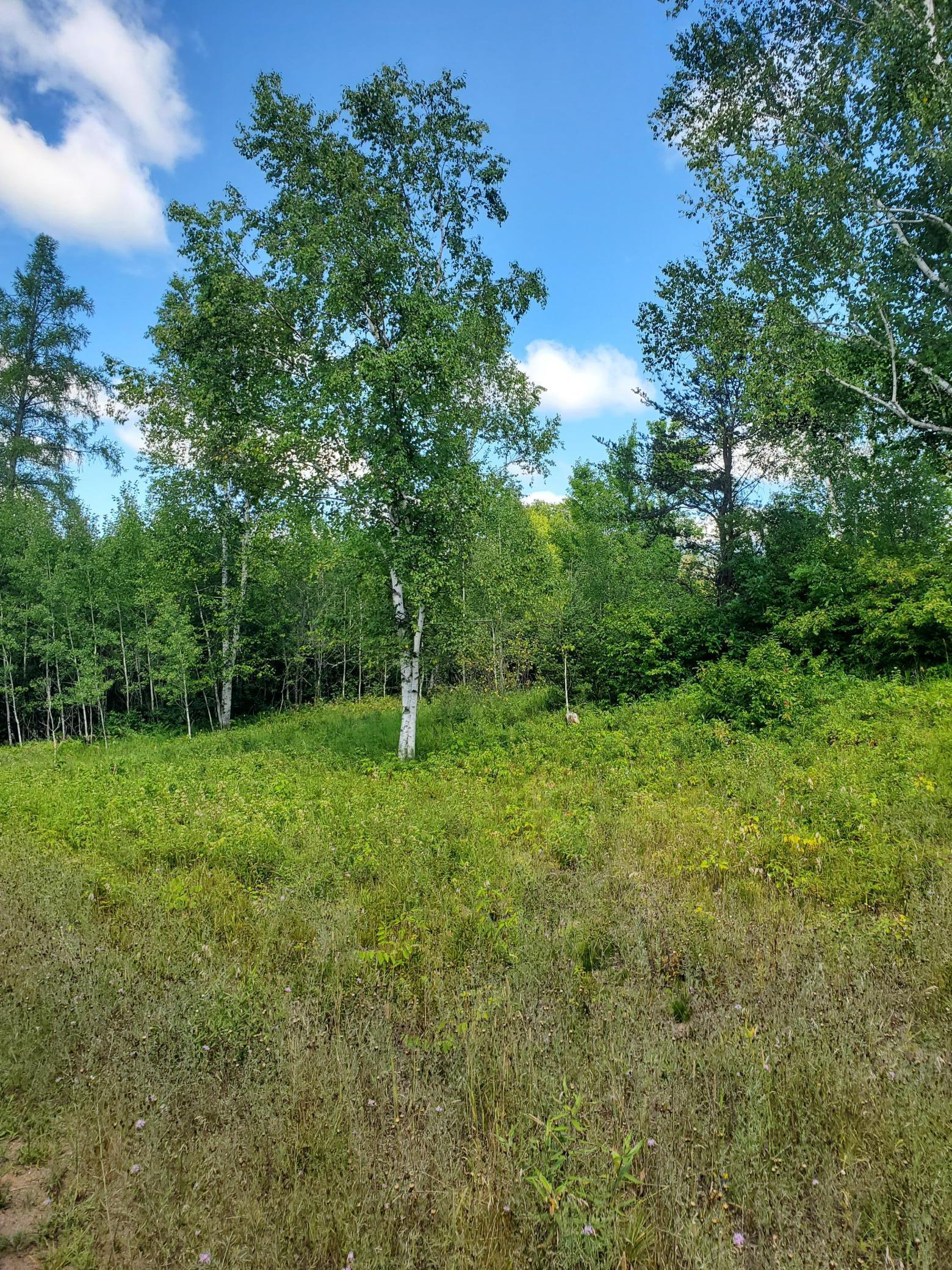80379 Tamarack Ranch Road Sandstone, MN 55072 - Photo 16 of 22 Gallery Image 16