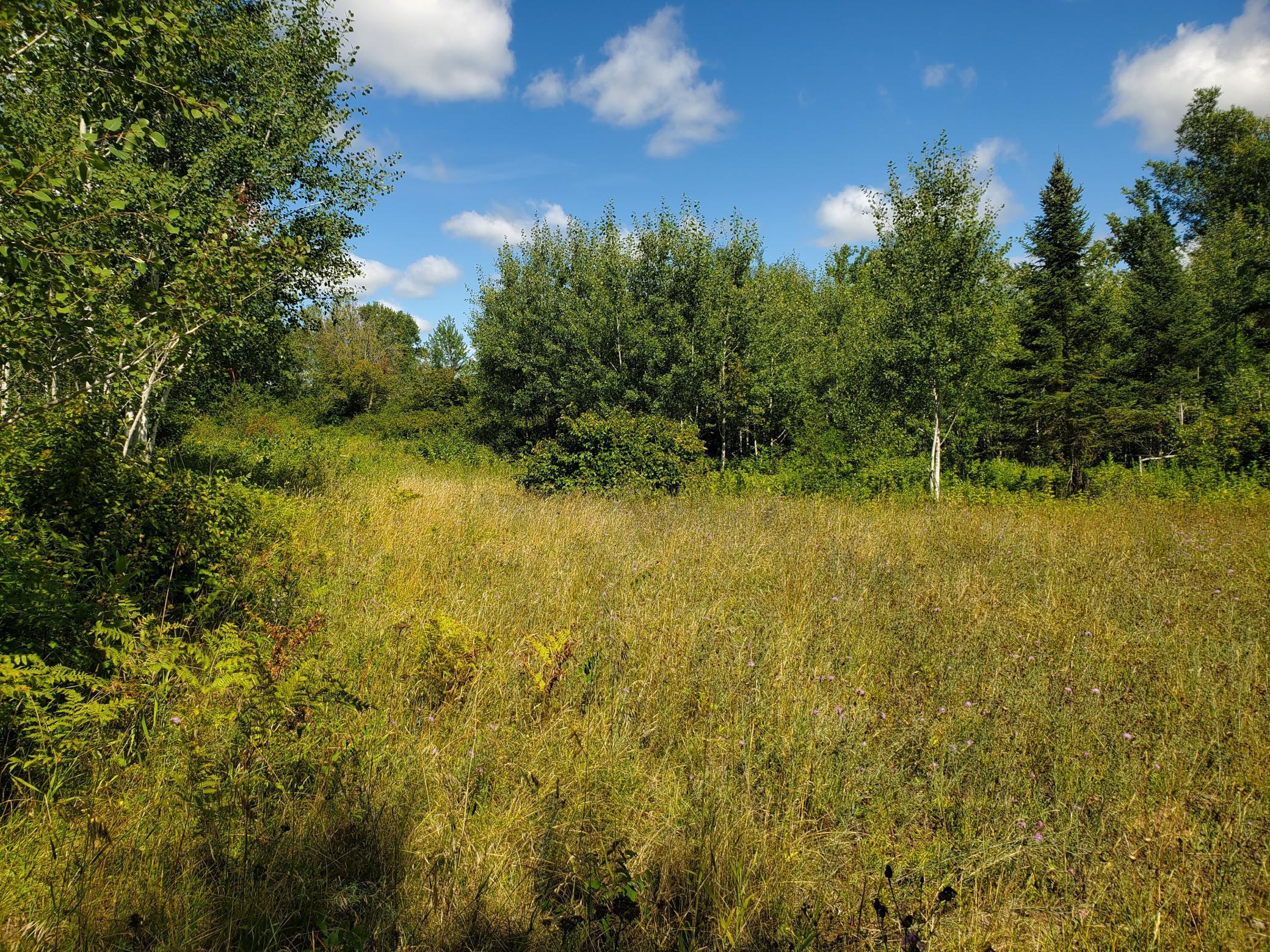 80379 Tamarack Ranch Road Sandstone, MN 55072 - Photo 18 of 22 Gallery Image 18