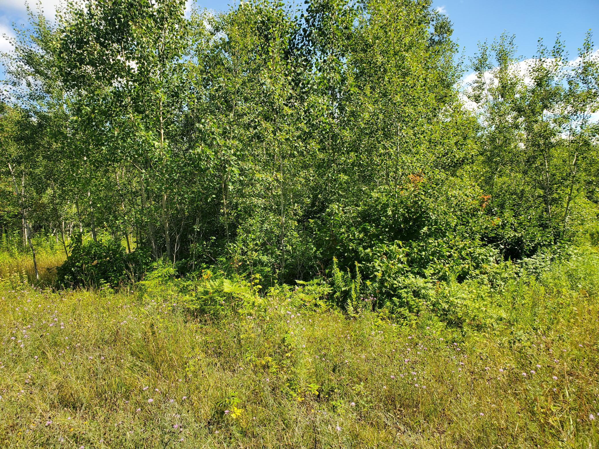 80379 Tamarack Ranch Road Sandstone, MN 55072 - Photo 19 of 22 Gallery Image 19