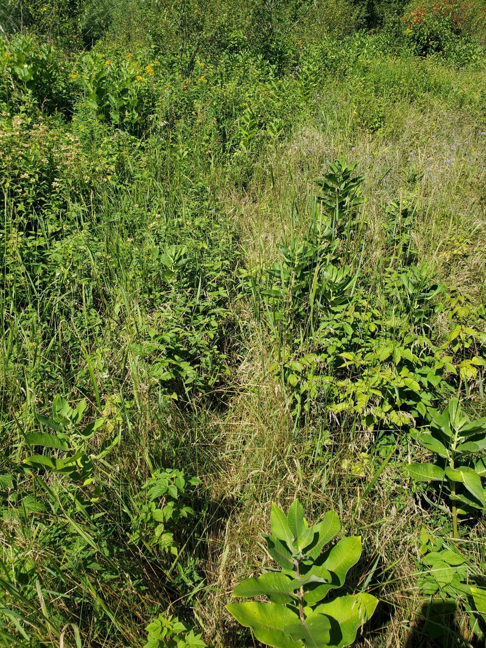 80379 Tamarack Ranch Road Sandstone, MN 55072 - Photo 20 of 22 Gallery Image 20
