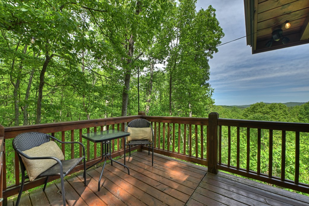 40 Joanna Court Blue Ridge, GA 30513 - Photo 39 of 39 Gallery Image 39