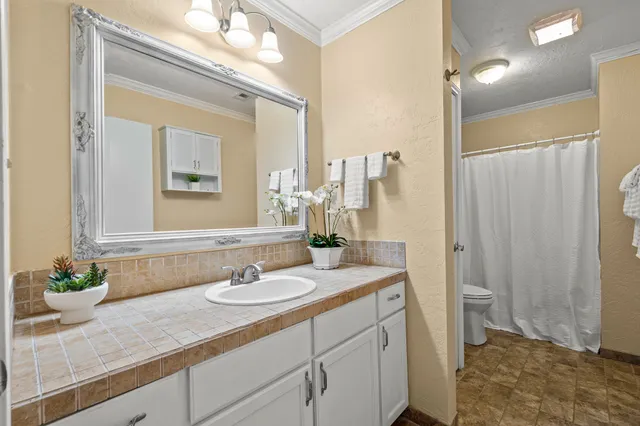 a bathroom with a granite countertop sink a toilet and a mirror