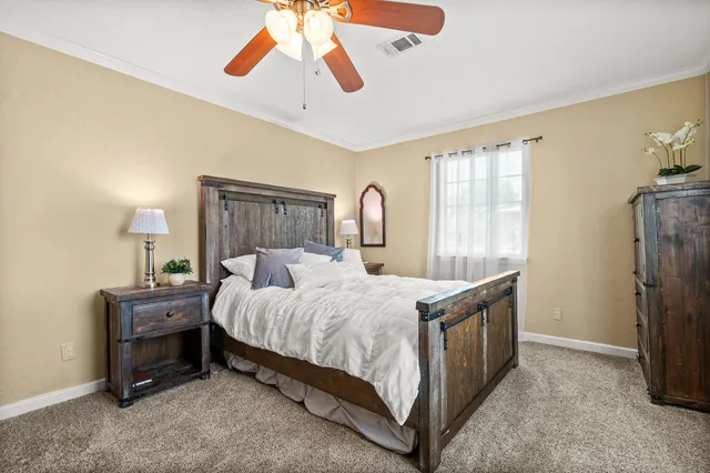 a bedroom with a bed a dresser and potted plants
