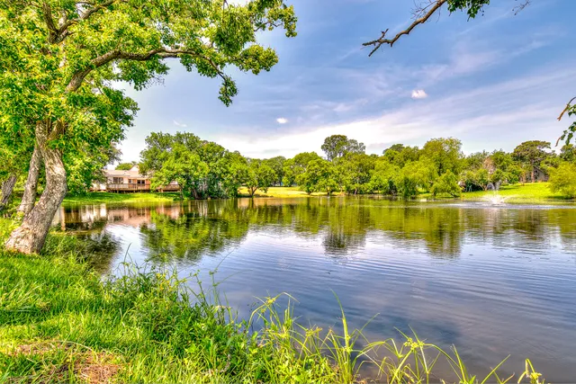 a body of water with a tree in the background