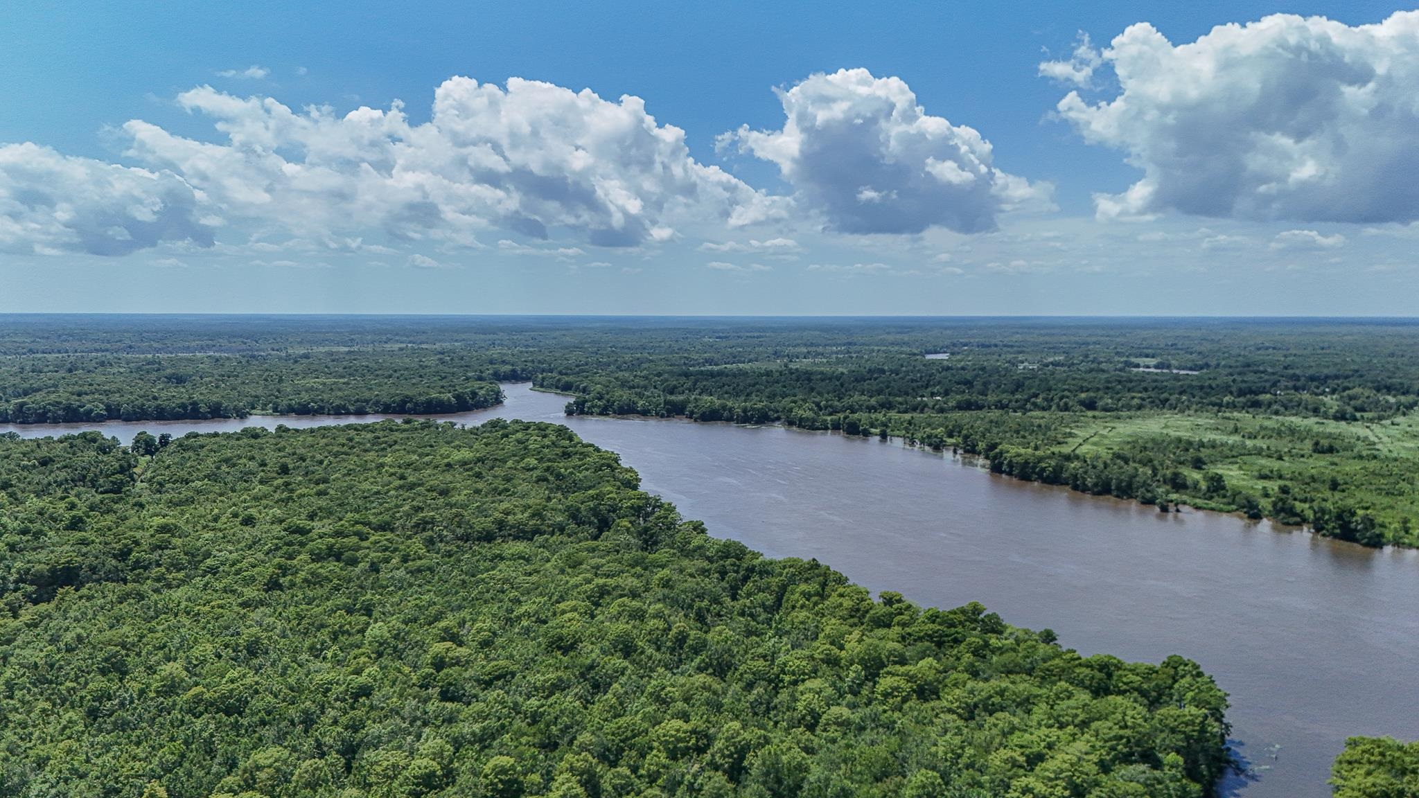 62 Sandy Ridge Loop Pawleys Island, SC 29585 - Photo 10 of 72