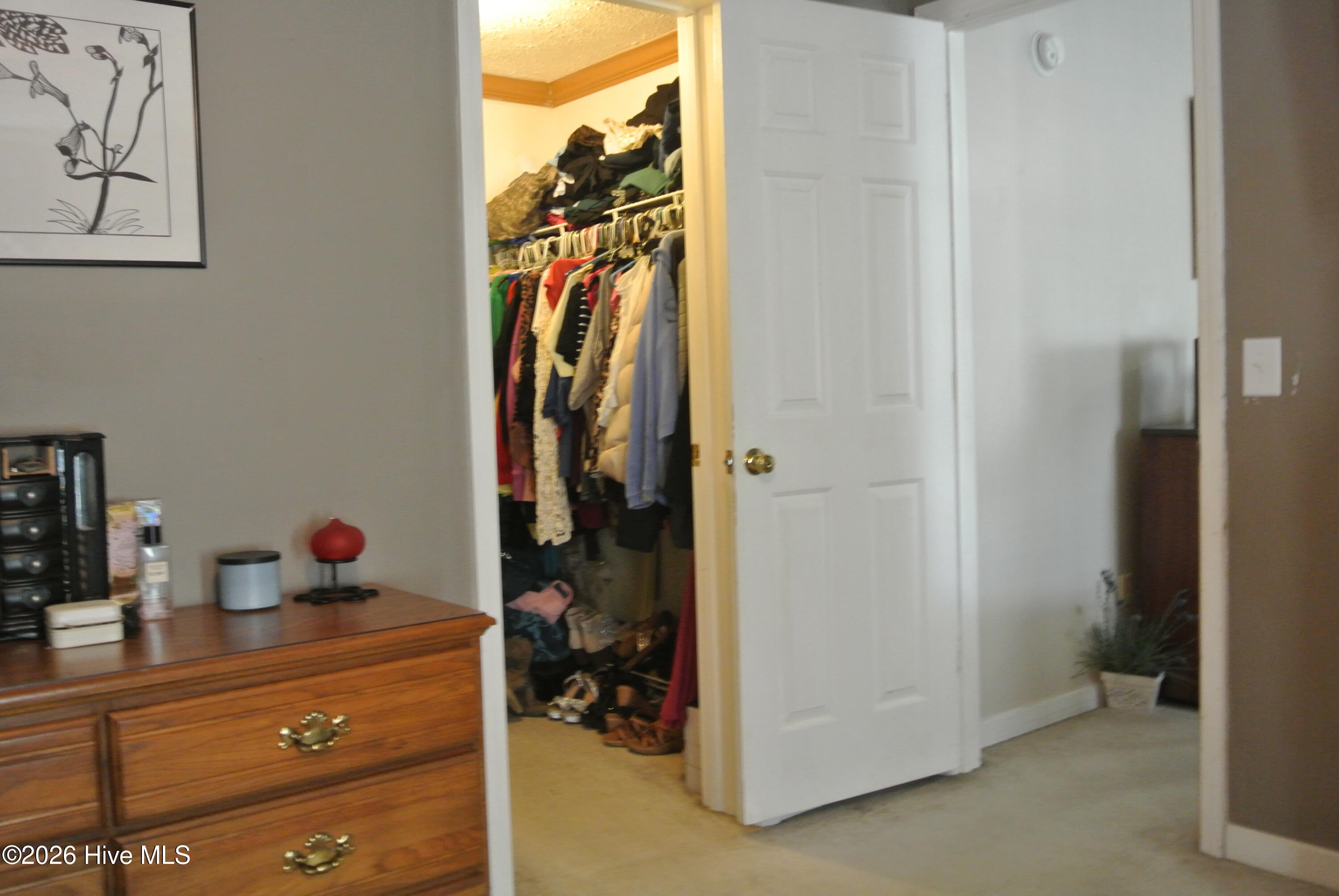 662 Straits Road Gloucester, NC 28528 - Photo 25 of 56